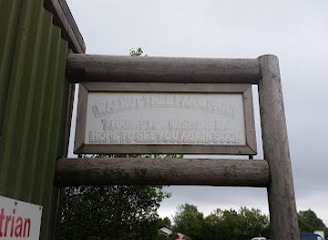 united-kingdom/gwent/attraction/walnut-tree-farm-park-2