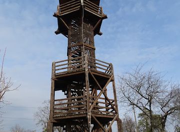 hungary/somogy/landmark/somogyharsagyi-kilato