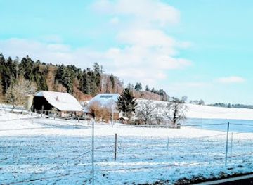switzerland/western-switzerland/landmark/swiss-plateau