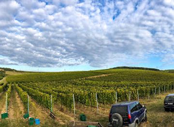 hungary/tokaj-wine-region/landmark/szedmak-borhaz