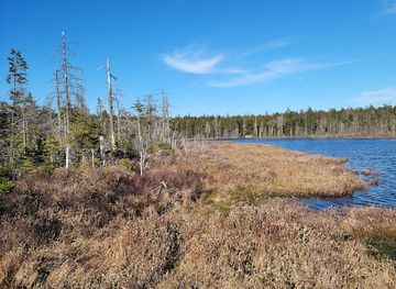 canada/fundy-national-park/landmark/caribou-plain-unesco-fundy-biosphere-reserve-amazing-place