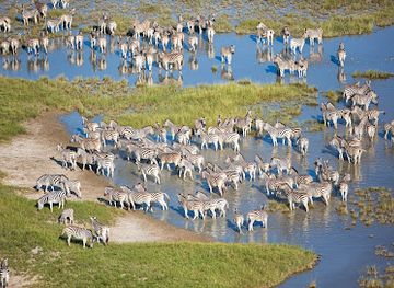 botswana/maun/landmark/kalahari-culture-nature-safaris-botswana-dmc
