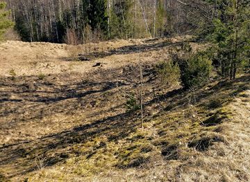 estonia/mulgimaa/landmark/vooru-linnamagi