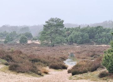 netherlands/drenthe-province/landmark/mantingerveld