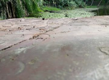 kenya/mombasa-beach/landmark/butterfly-pavilion
