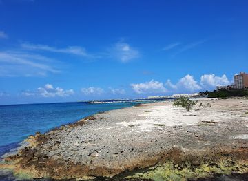 aruba/california-lighthouse/landmark/bubali-bird-sanctuary
