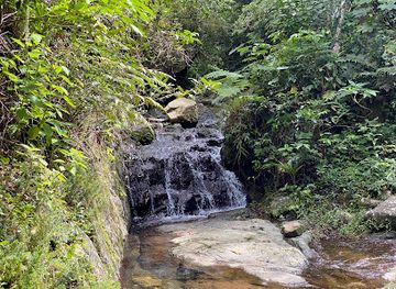 puerto-rico/el-yunque-national-forest/landmark/bosque-estatal-toro-negro
