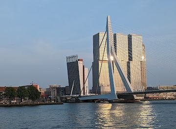 netherlands/rotterdam/noord/landmark/erasmusbrug