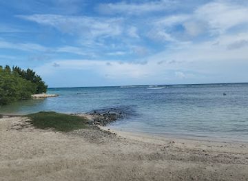 aruba/mangel-halto/landmark/savaneta-beach