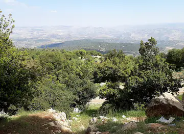 Dibbeen Forest Reserve