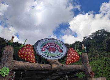 malaysia/cameron-highlands/landmark/big-red-strawberry-farm