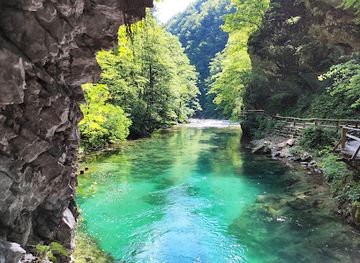 slovenia/bohinj/landmark/soteska-vintgar