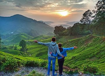 malaysia/cameron-highlands/landmark/discover-cameron-travel-tour