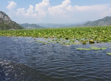 montenegro/skadar-lake-region/landmark/cruising-on-skadar-lake