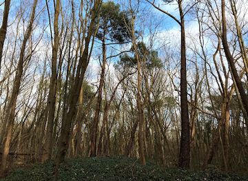 belgium/knokke-heist/landmark/koningsbos