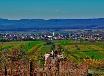 austria/lake-neusiedl/landmark/skywalk