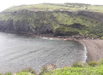 south-korea/jeju-island/landmark/ecoland