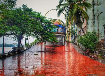 india/kochi/landmark/kettuvallam-bridge