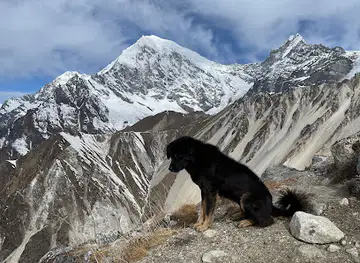 Kyanjin Ri Peak (4770m)