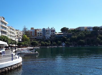 greece/crete/agios-nikolaos/landmark/cretan-olive-oil-farm