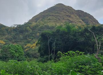 ghana/oti-region/landmark/tafi-atome-monkey-sanctuary-and-cultural-village