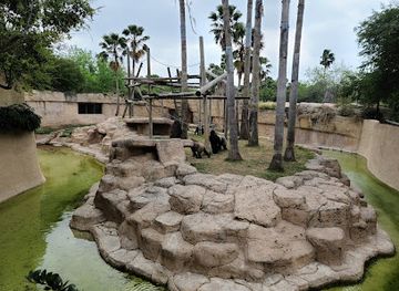 texas/brownsville/landmark/gladys-porter-zoo