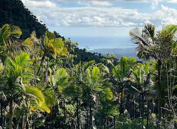 puerto-rico/el-yunque-national-forest/landmark/el-yunque-peak-tower