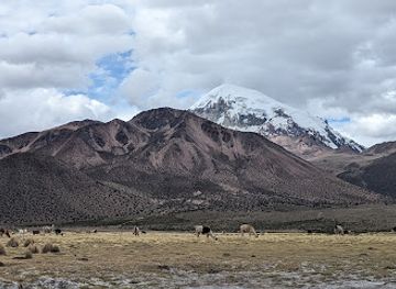 bolivia/andean-valleys/landmark/andean-ways-bolivia