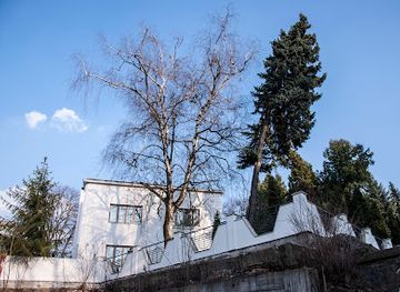 ukraine/lviv-region/landmark/villa-adolfa-finkelshteyna