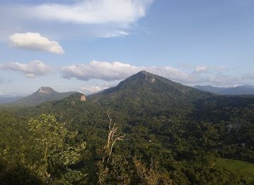 sri-lanka/pinnawala-elephant-orphanage/landmark/manawa