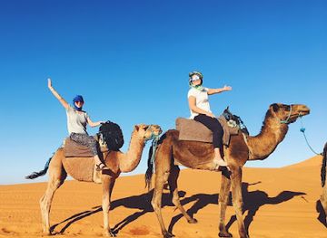 morocco/sahara-desert/landmark/sahara-camel-trips-morocco-tours
