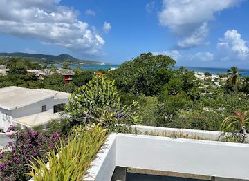 puerto-rico/vieques-island/landmark/mileta-azul