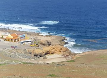 aruba/arikok-national-park/landmark/aruba-ostrich-farm