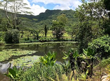 mauritius/pamplemousses/landmark/domaine-de-l-etoile