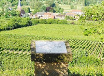 germany/upper-palatinate/landmark/lagenstein