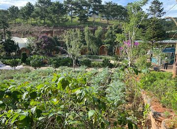 vietnam/dalat/valley-of-love/landmark/nhat-strawberry-garden