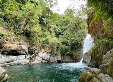 costa-rica/chirripo-national-park/landmark/cloudbridge-nature-reserve