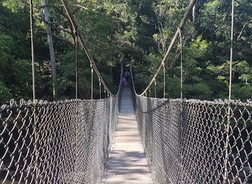australia/central-coast/landmark/piles-creek-loop
