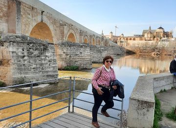 spain/cordoba/landmark/puerta-gallegos