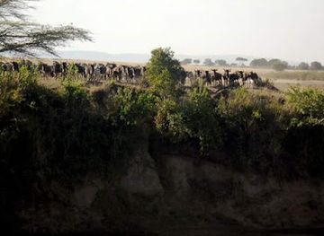 somalia/hiran/landmark/lag-badana-bushbush-national-park