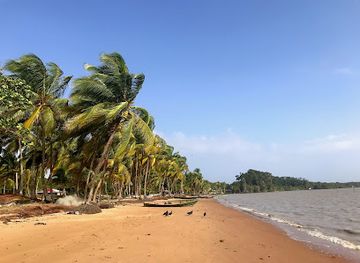 suriname/wanica-district/landmark/galibi-nature-reserve