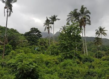 tanzania/mikumi-national-park/landmark/uluguru-mountains