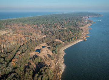 lithuania/nida-beach/landmark/juodkrante-colony-of-grey-herons-and-great-cormorants