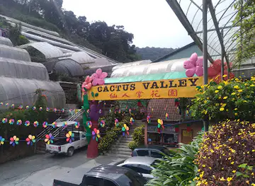 Cactus Valley