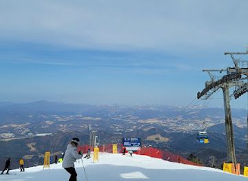 south-korea/pyeongchang-ski-resorts/landmark/yongpyeong-ski-resort