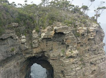 australia/tasman-peninsula/landmark/port-arthur-lavender