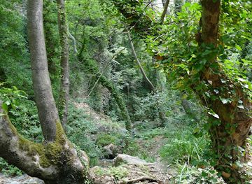 greece/pelion/landmark/spring-of-manas