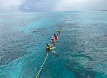 florida/key-largo/landmark/island-ventures