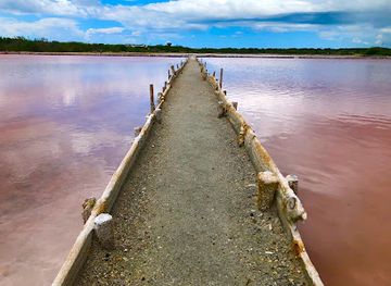 puerto-rico/yunque-national-forest/landmark/centro-interpretativo-las-salinas