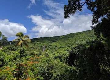 saint-kitts-and-nevis/cotton-ground/landmark/romney-manor